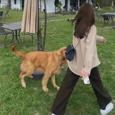 三个男人和一条美腿